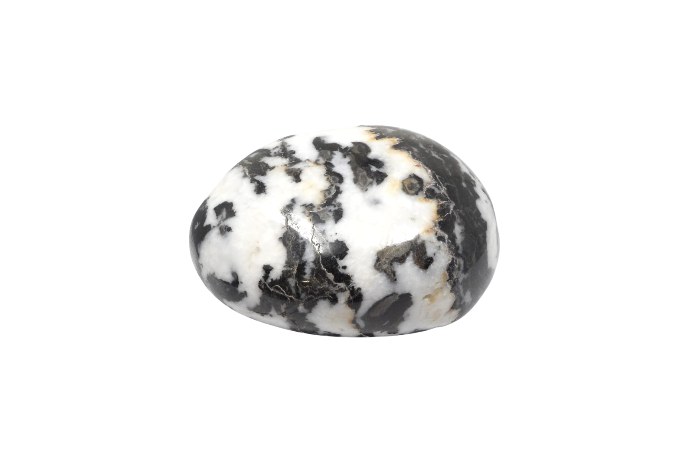 Zebra Jasper